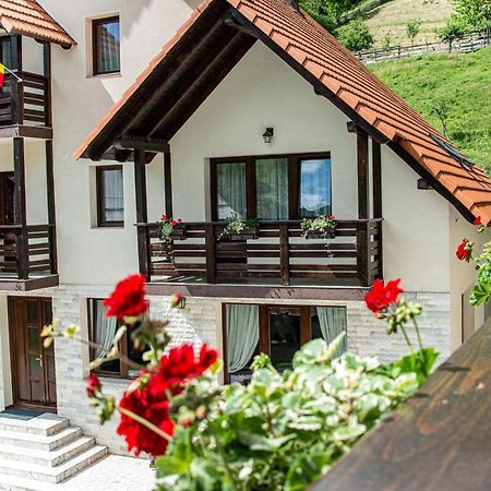 Pensiunea Poienita Albac Exterior foto