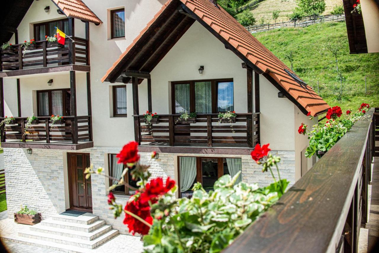 Pensiunea Poienita Albac Exterior foto