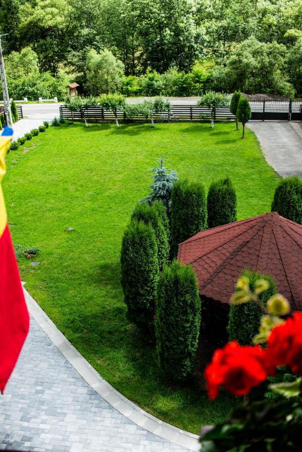 Pensiunea Poienita Albac Exterior foto